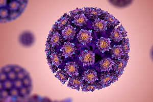 Вирус папилломы человека: пути заражения и вакцинация
