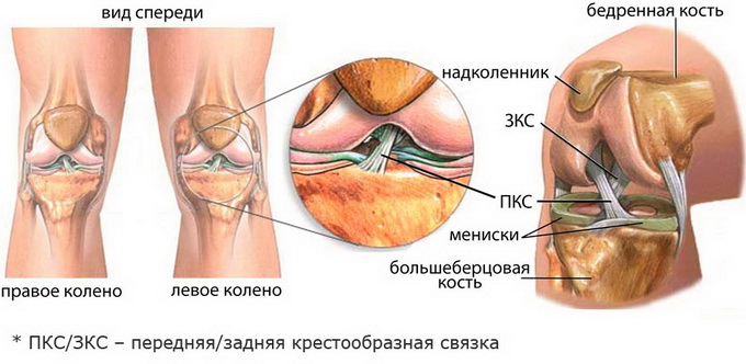 Специфика травматических повреждений мягких тканей