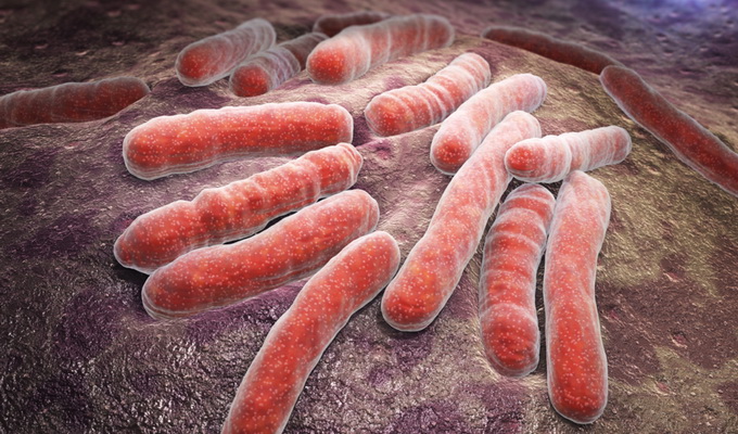 Специфический возбудитель туберкулеза – провокатор болезни