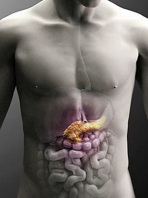 Анатомия человека с фото поджелудочная железа